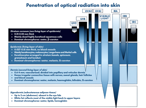 State of Medical Lighting Report 2024 Edition
