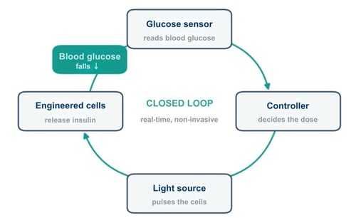 closed-loop-goal-for-diabetes