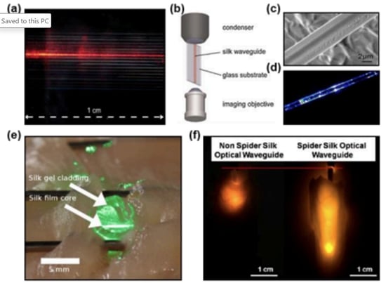 waveguides-natural-materials