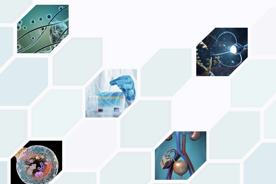 State of Medical Lighting Report